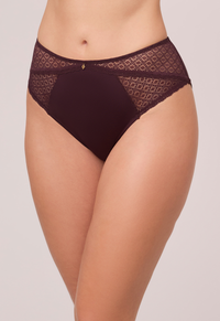 Montelle Brief-Fudge