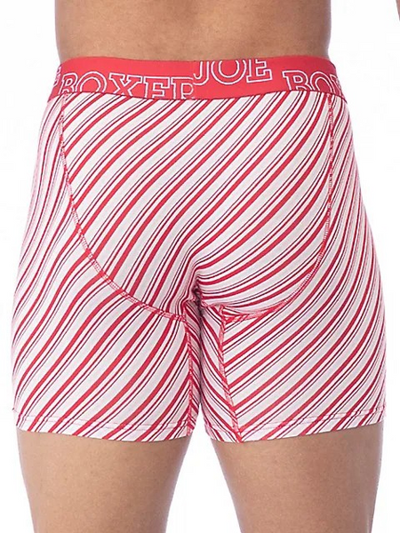 Joe Boxer Stripe Boxer Brief