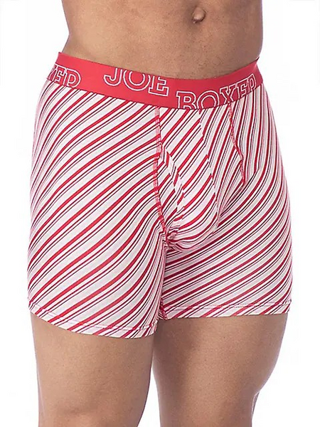 Joe Boxer Stripe Boxer Brief