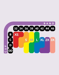 Bali Comfort Revolution Wire Free Shaping Bra