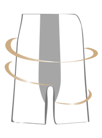 Body Hush Wonder Woman High Waist Short