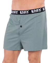 LazyOne Beeriere Boxer